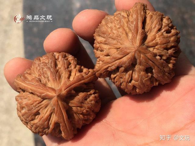 天降奇果，南疆石三棱正奔- 知乎