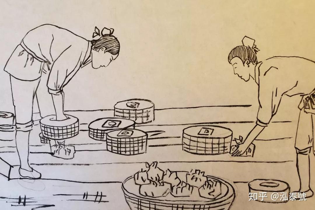 泓泰学堂第1期普洱茶生茶制作全过程