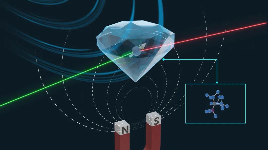 量子精密测量技术在生命科学研究中的应用
