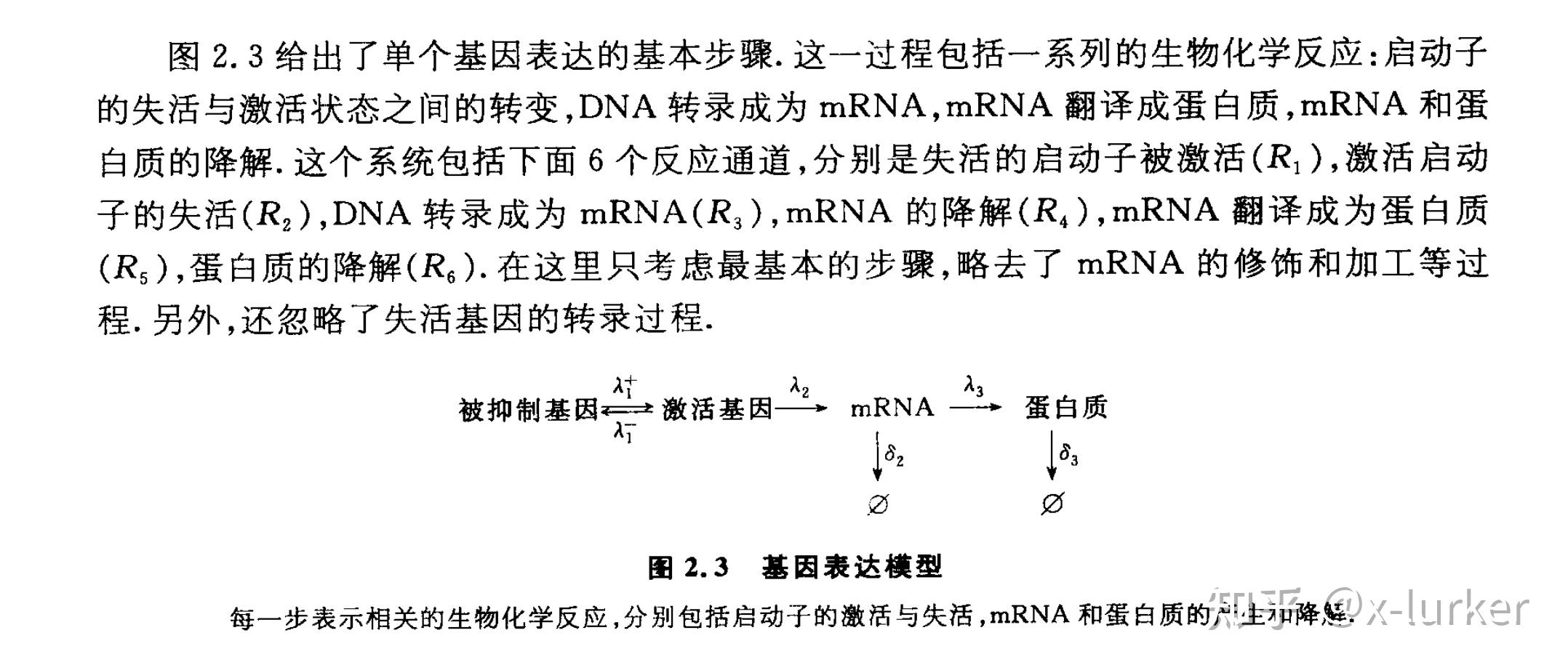 Gillespie随机模拟实践（以基因表达模型为例，matlab） 知乎