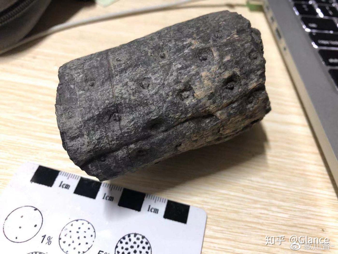 鳞木古生物中的十八线明星