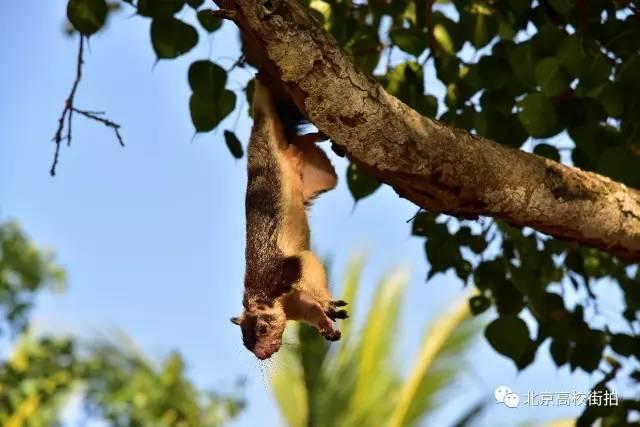 参加LeanIn国际义工旅行之后的收获有什么呢,