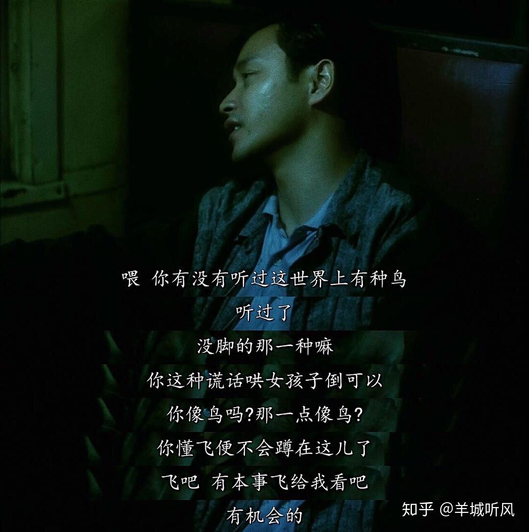 《阿飞正传 真正想表达是 知乎