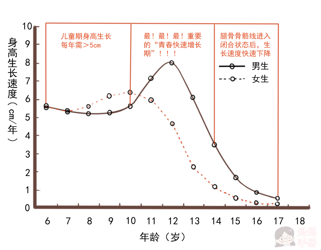 男生身高青春期图片