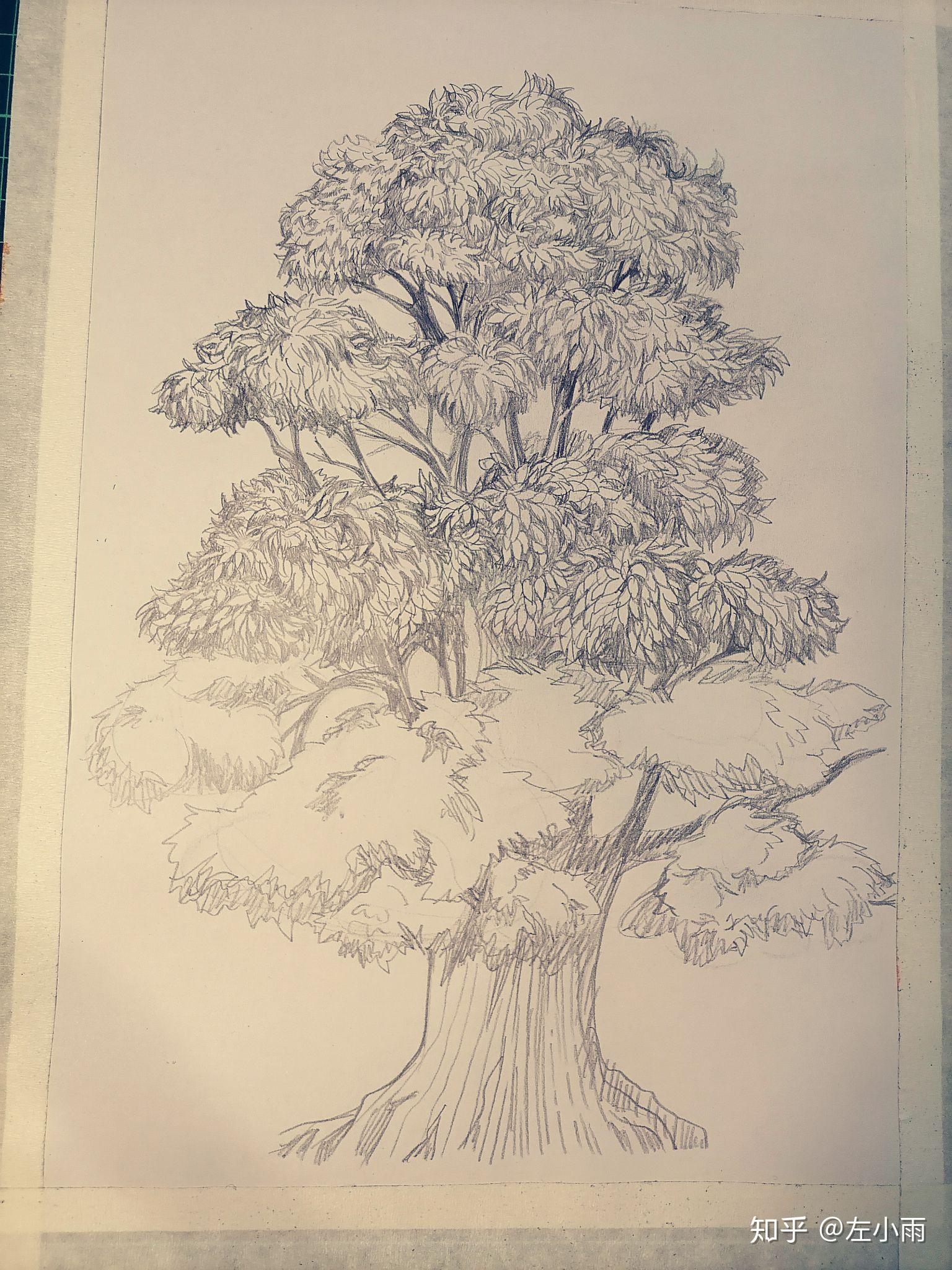 巨树绘画图片