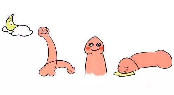 嫌丁丁太短?这种情况下,来,可以往外薅一薅