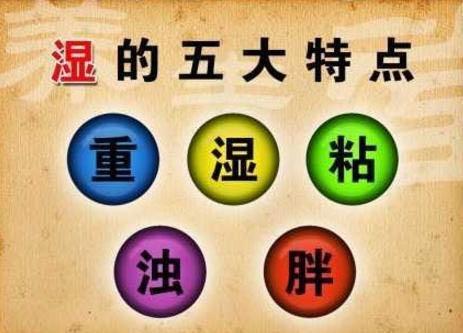 v2-499fc09029490dd139c0c23e882e4e45_r.jpg