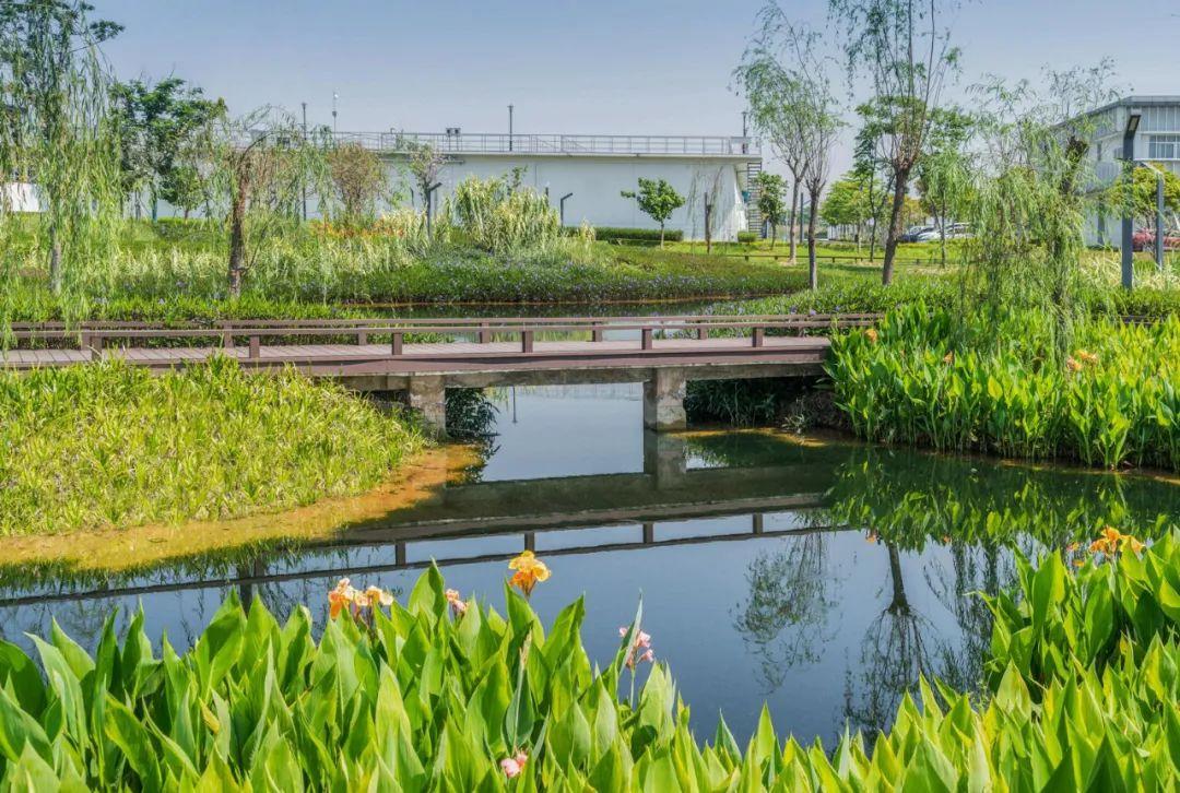 广州增城再生水厂景观设计 - 知乎