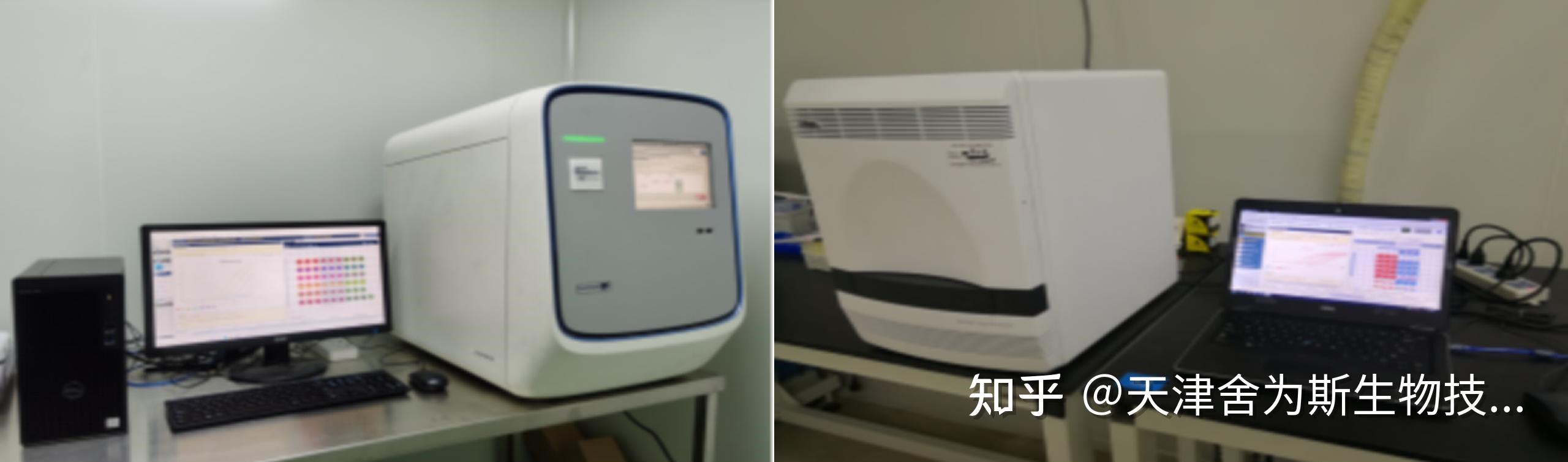 干货分享|全血样本RT-PCR实验技巧、注意事项及内参基因选择 - 知乎