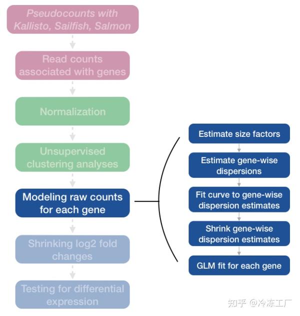 RNAseq 详细教程：详解DESeq2流程（9） 知乎