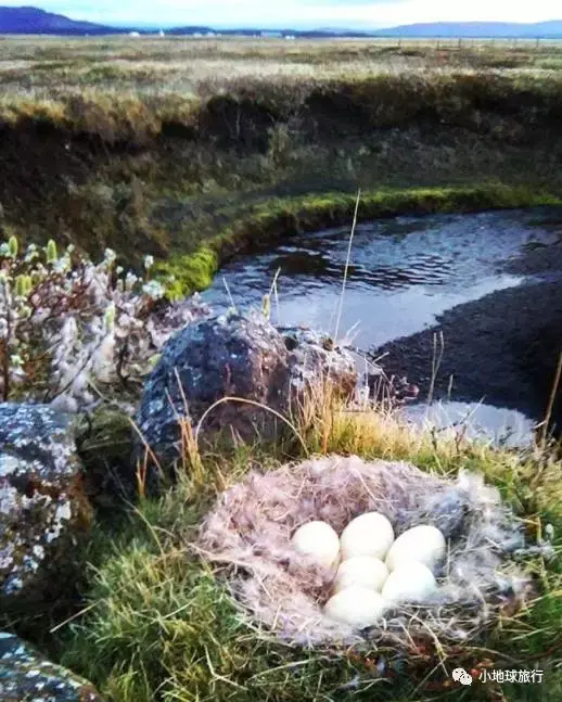 当你驶入冰岛东部地区,一路上如电影特效般震撼奇幻.