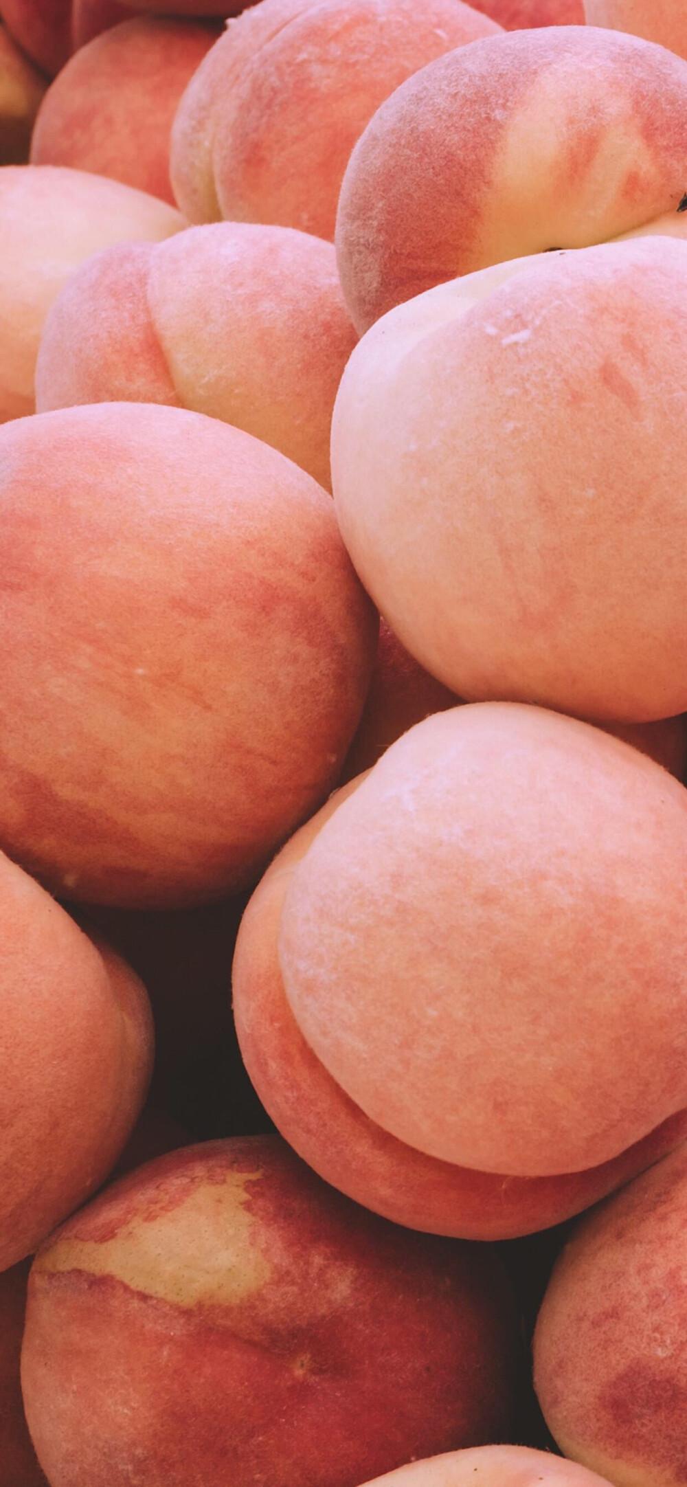 各路集美哪位可以给我分享几张桃子壁纸