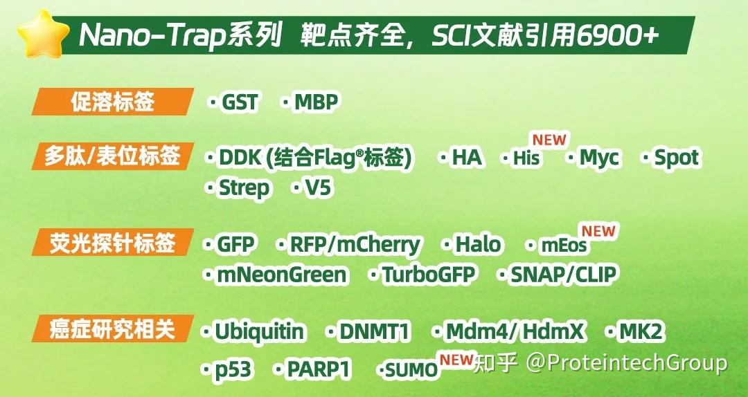 为什么IP/Co-IP结果中有明显杂带?这份自查指南请收好 - 知乎