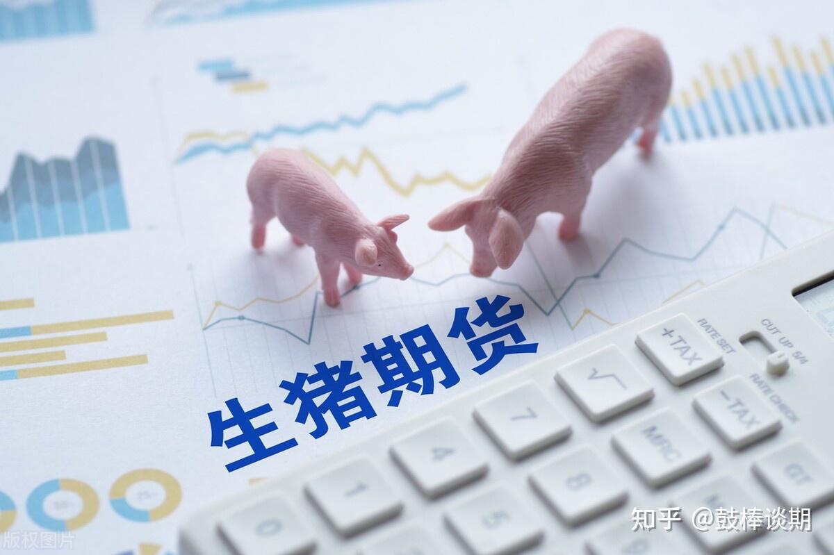 生猪期货突然大幅回调你稳住了吗