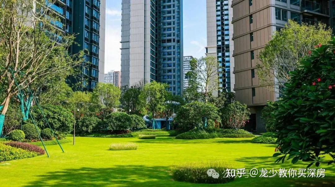 前海新地王隔壁!交付即升值【深业云海湾】深度楼评! - 知乎