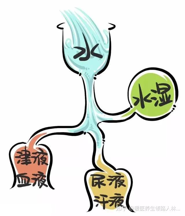 你不知道的人体第一“消炎穴”:液门穴! - 知乎