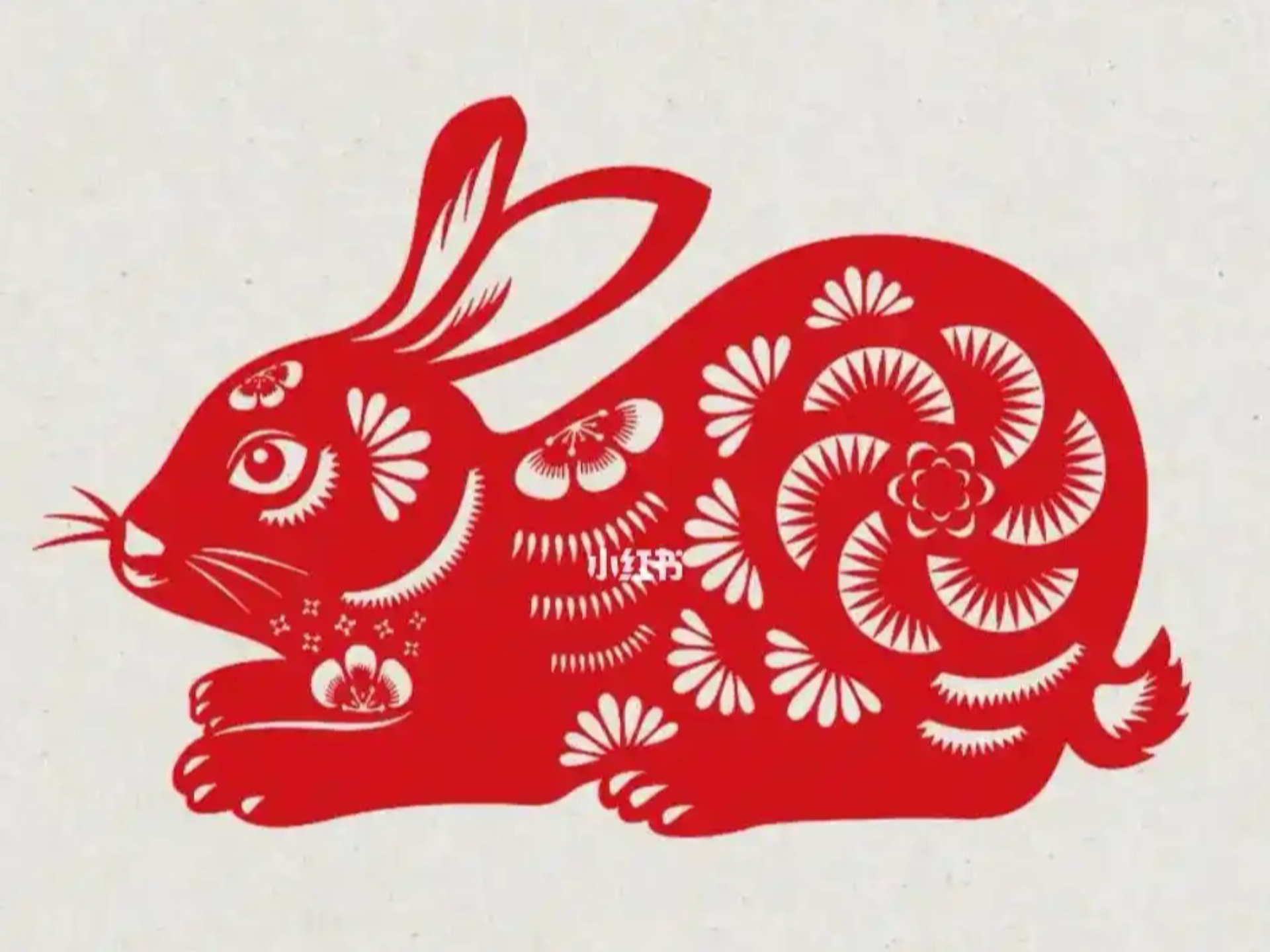 兔年12生肖运势简短(2021十二生肖兔的运势)