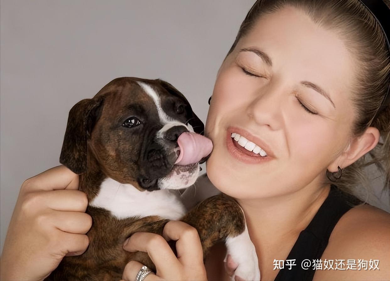 Dog licking a boy's face Stock Photo - Alamy
