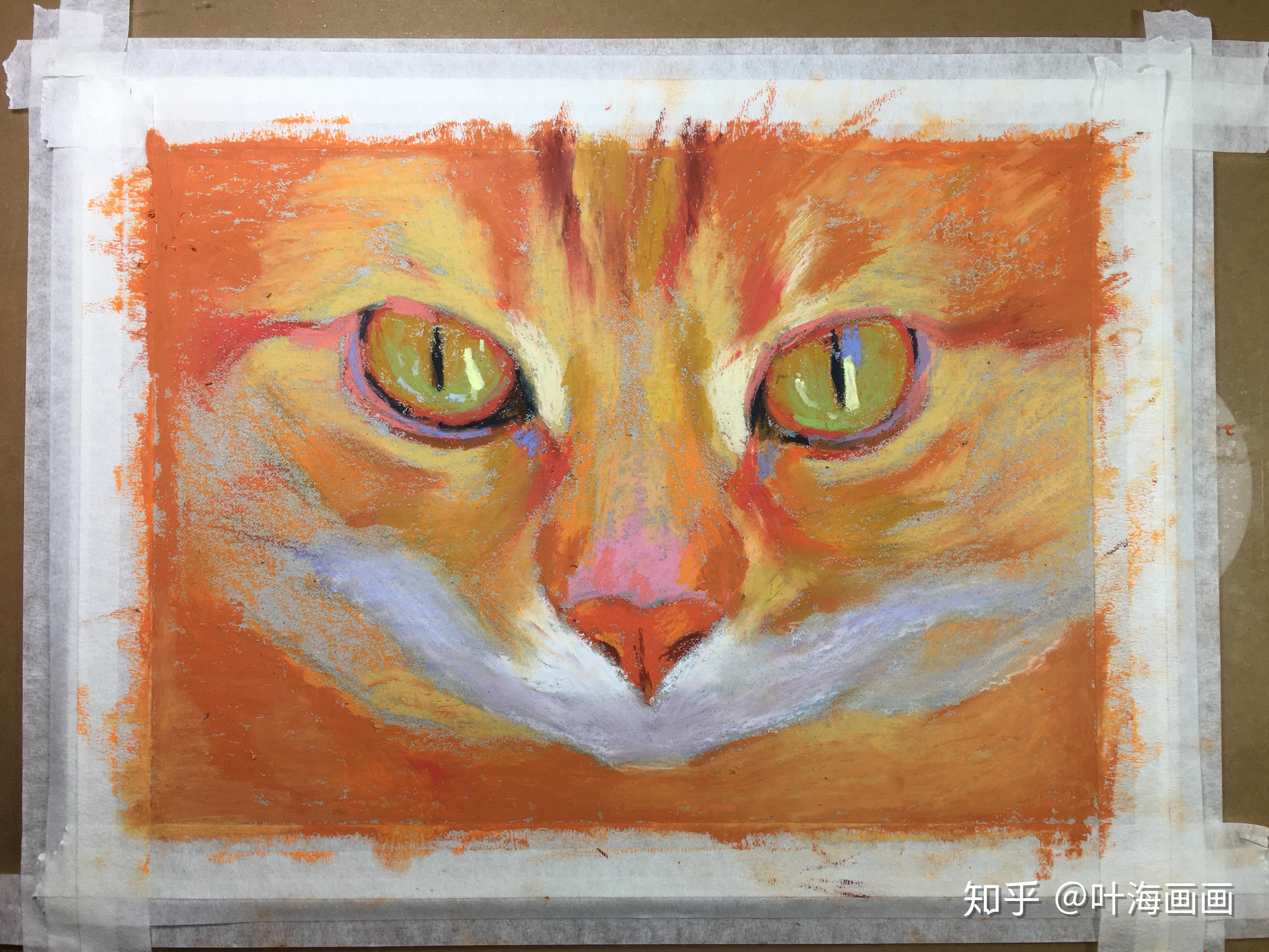 油画棒教程动物类写生手绘之高傲的猫步骤图