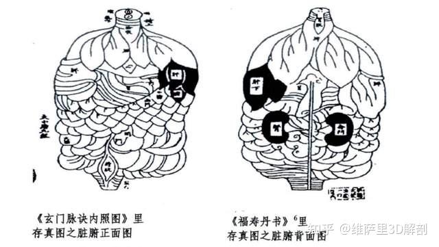 北宋时期官方组织了两次人体解剖,为后世留下了《欧希范五脏图》