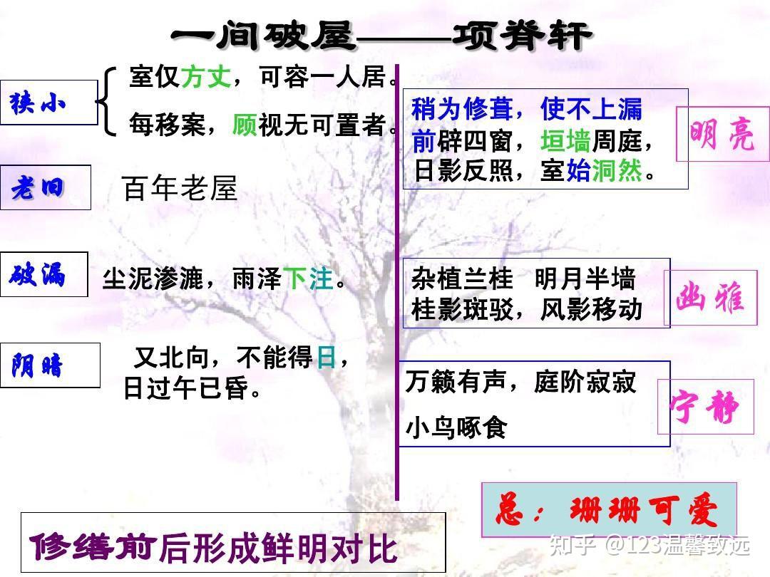 10至12年级文32篇之八《项脊轩志》明·归有光 - 知乎