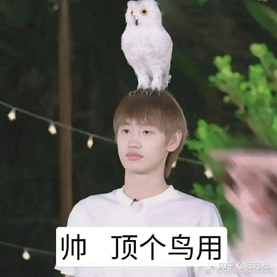 有没有into1成员有趣的表情包