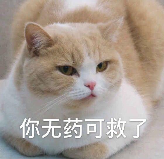 你有哪些超有趣的萌宠表情包