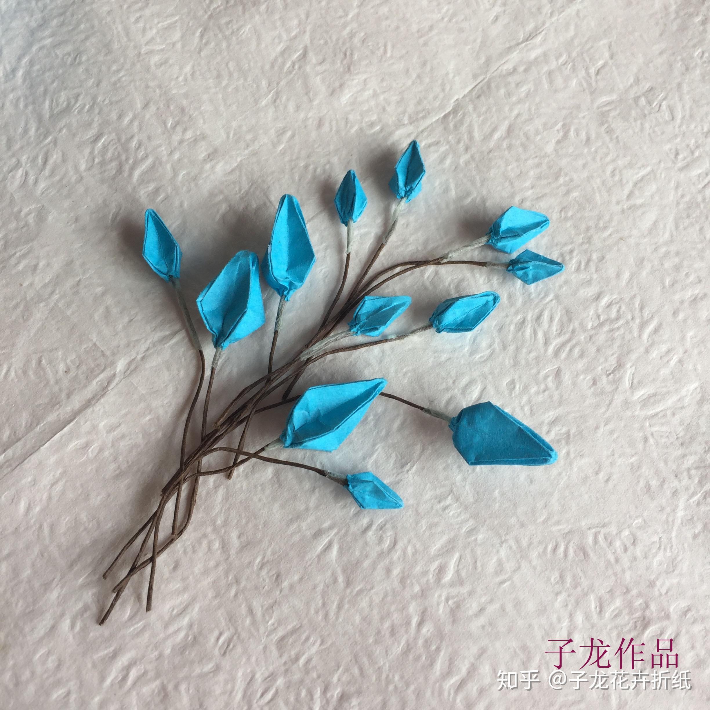 蝴蝶兰折纸惊天出世子龙发明