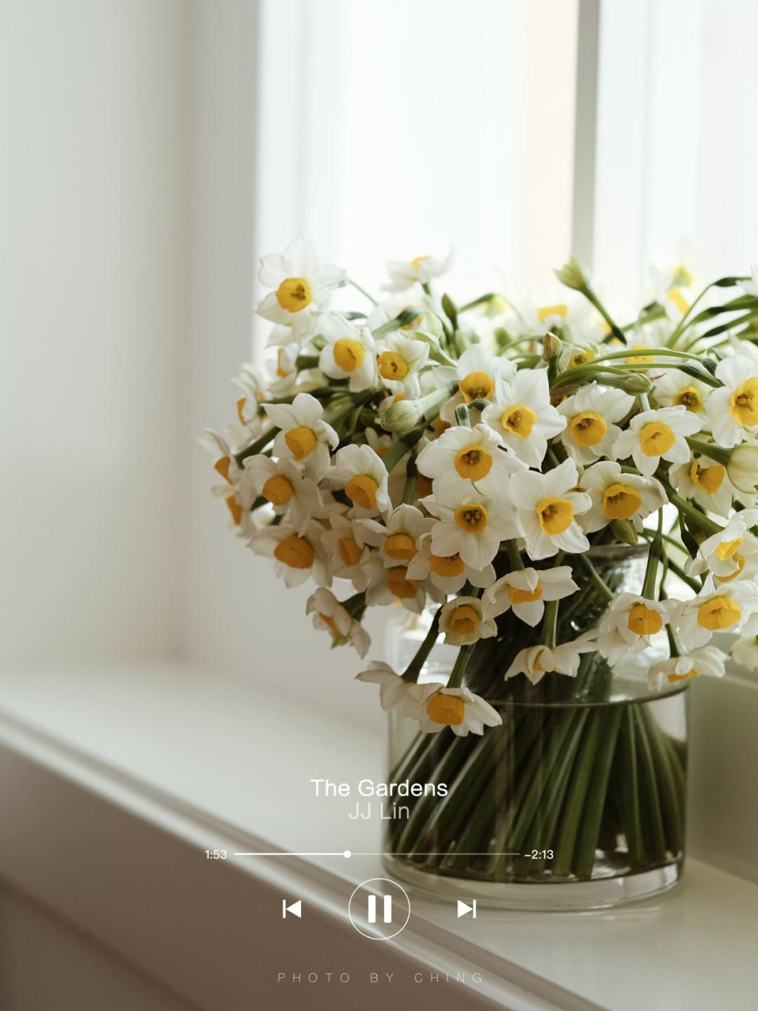 每日一花 冬日暖色调 水仙切花带来的惊喜 知乎 每日一花 冬日暖色调 水仙切花带来的惊喜 知乎