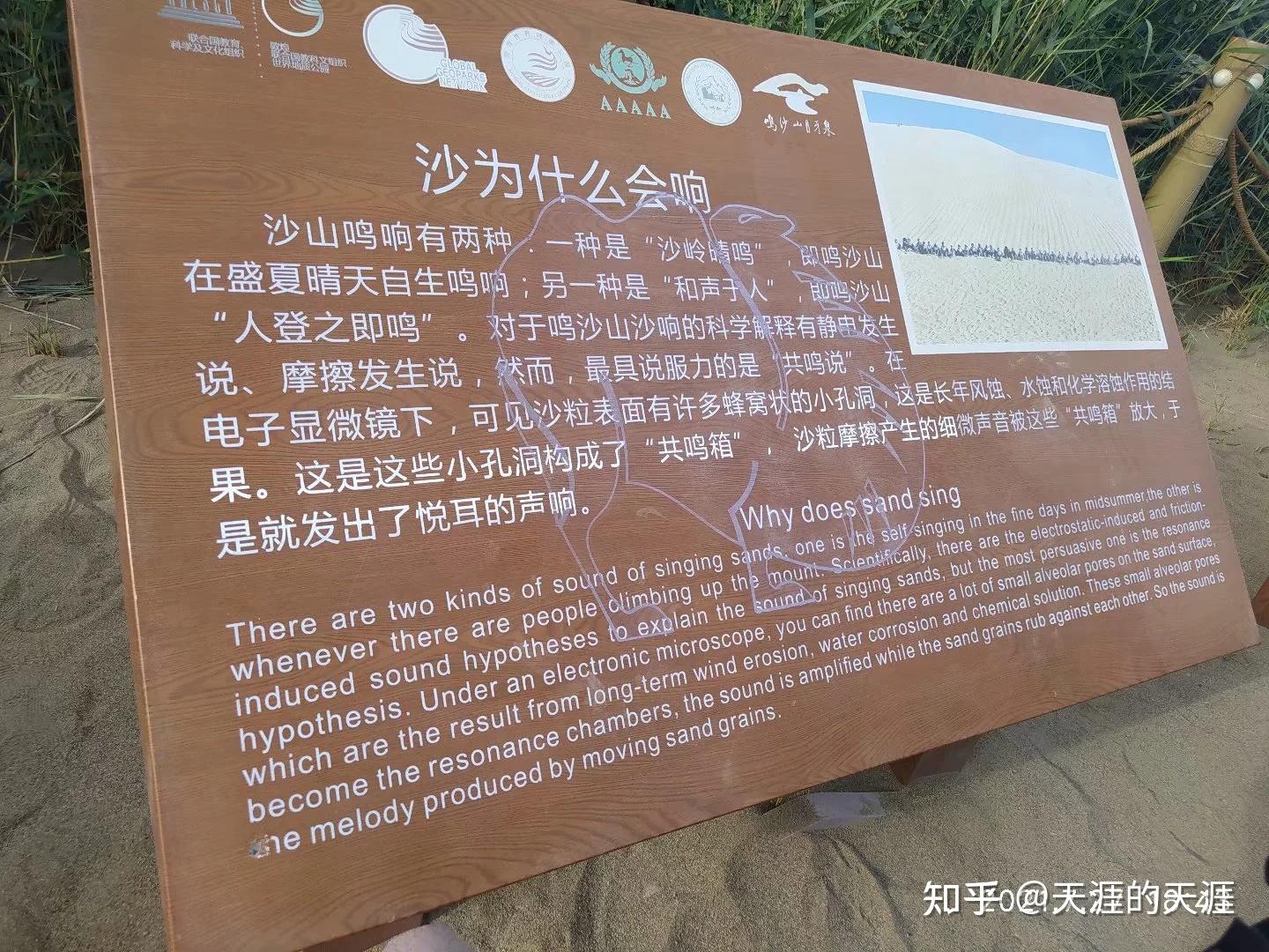 鸣沙山月牙泉沙漠中的共存奇迹