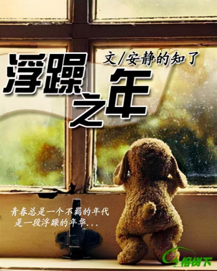 浮躁之年(32) - 知乎