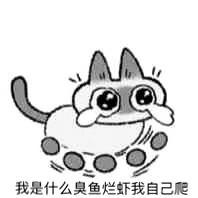 B沐阳