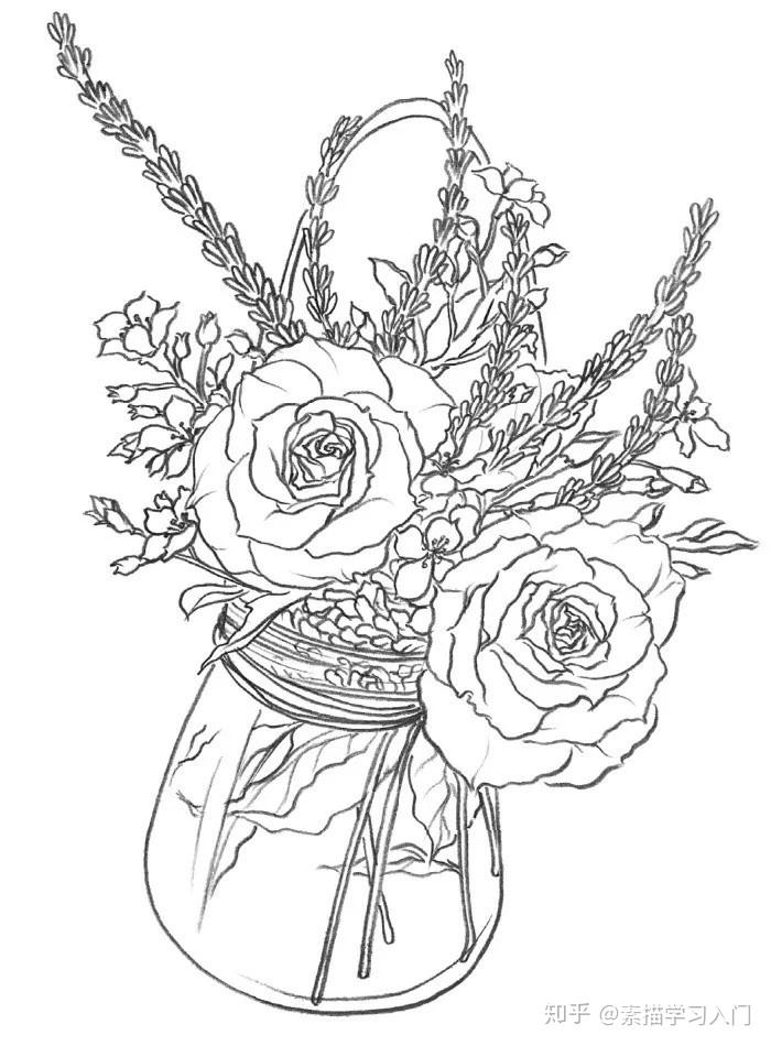 素描基础入门教程瓶中花的画法