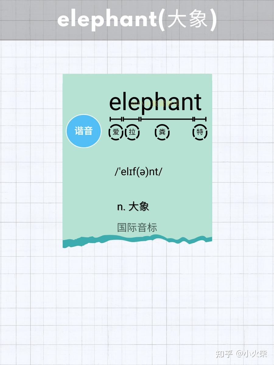 5张图片记单词 elephant(大象) - 知乎