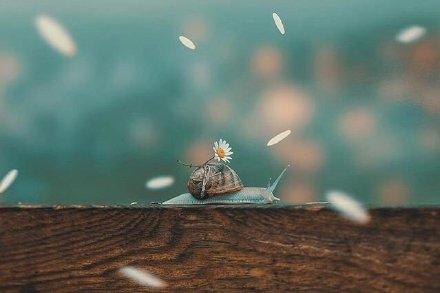 v2-4a6db2602ea684ecfde8b5db403ca548_1440w.jpg?source=172ae18b