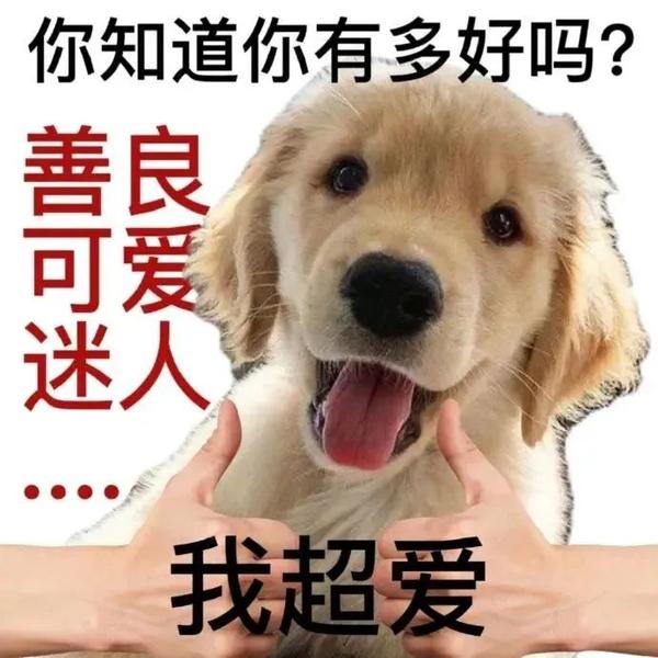 夸人的表情包 - 知乎