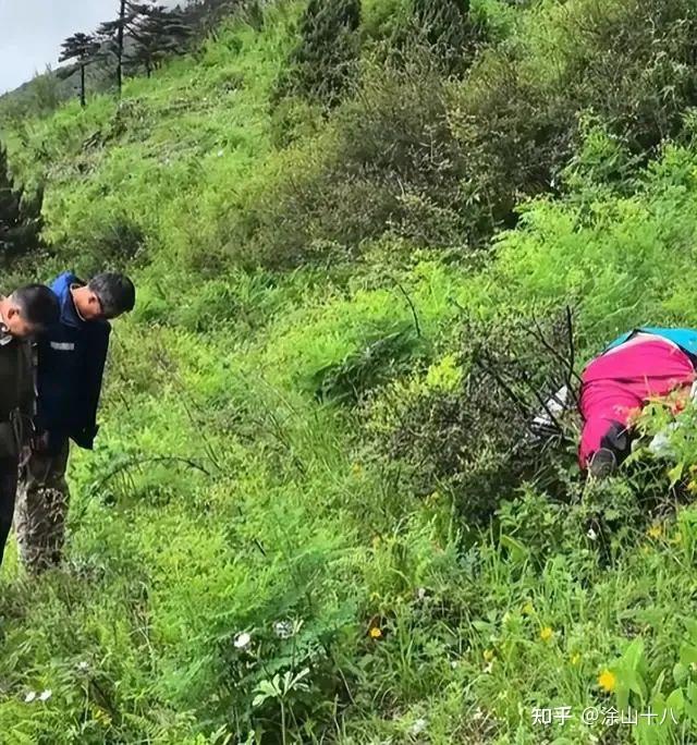 贵州失联女大学生已找到!死状惨烈,更多细节曝光,死因很蹊跷 - 知乎