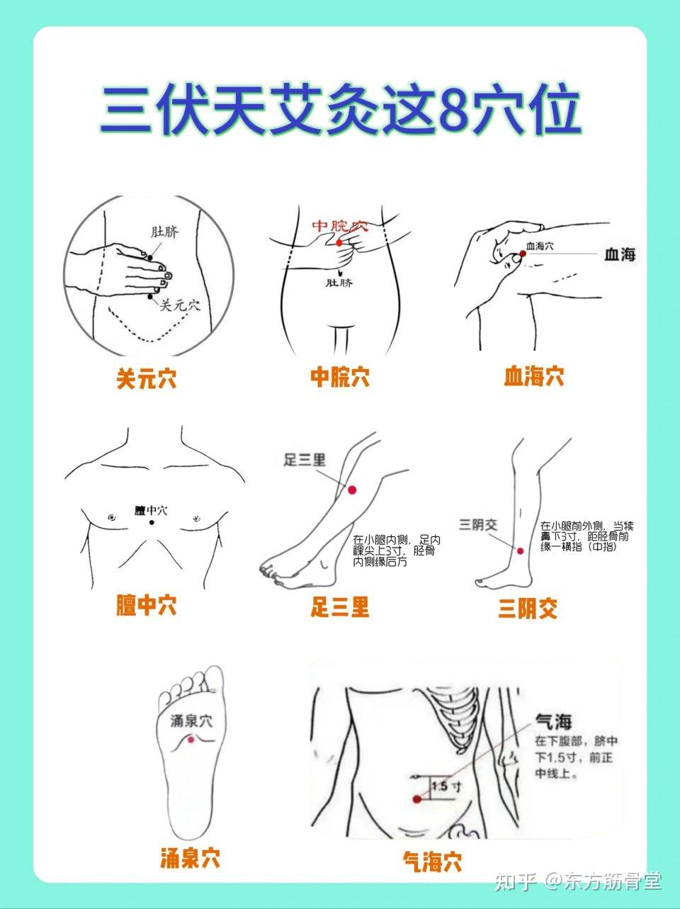 三伏天艾灸这八大穴位，助你冬病夏治，温经散寒的秘诀 - 知乎