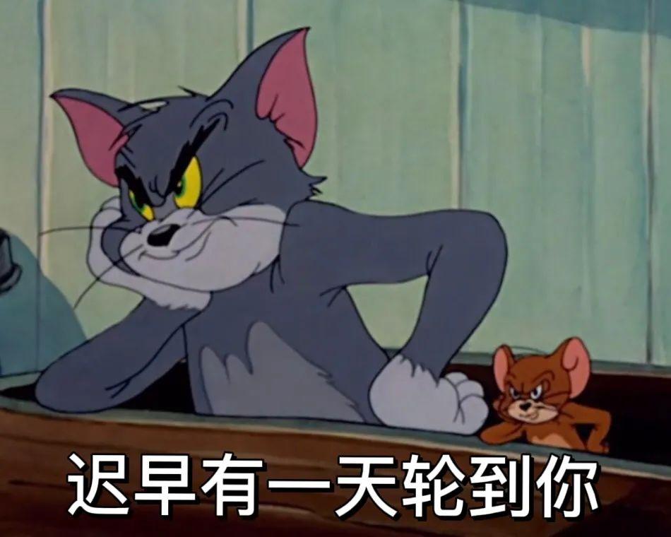 猫和老鼠经典表情包图片