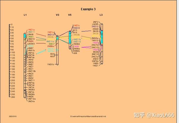 遗传连锁图谱绘制之MapChart - 知乎