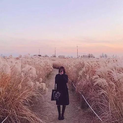 头像我向往的自由