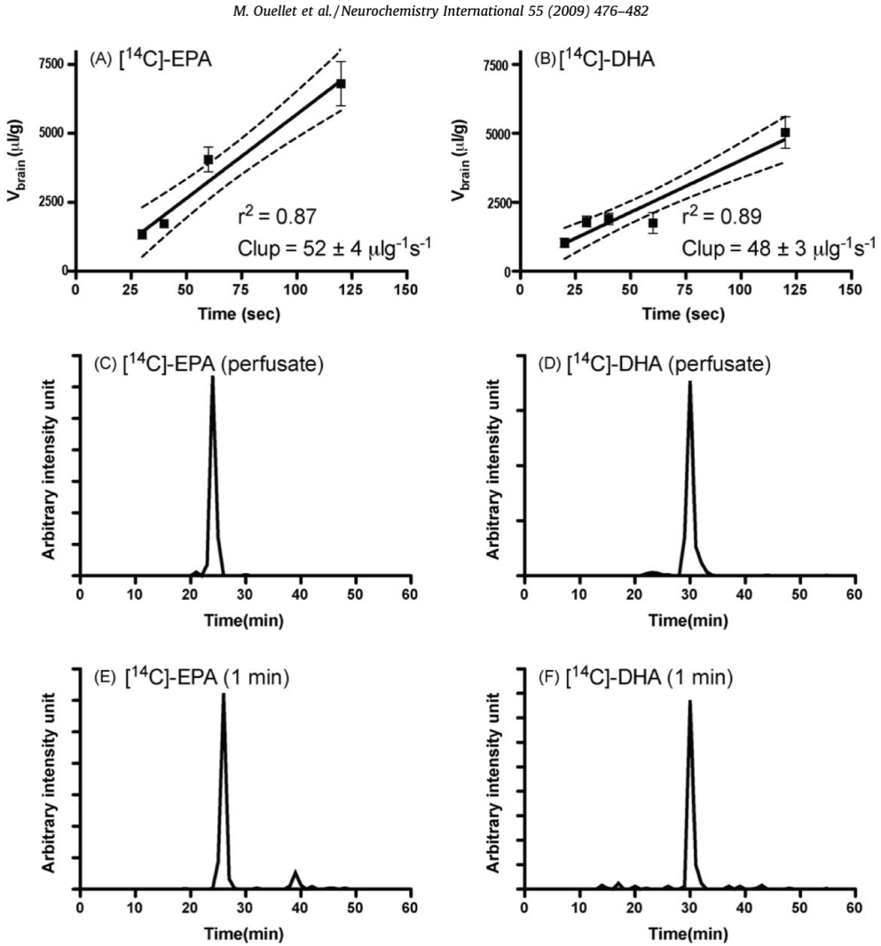 不能被忽视的提高记忆力，DHA是真有用（dha真的可以促进孩子增强记忆力吗）
