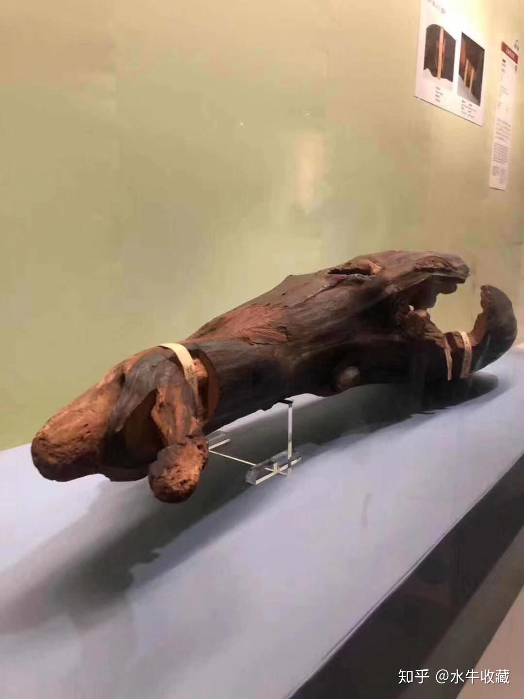 沉香兰奢待天下第一名香日本国宝