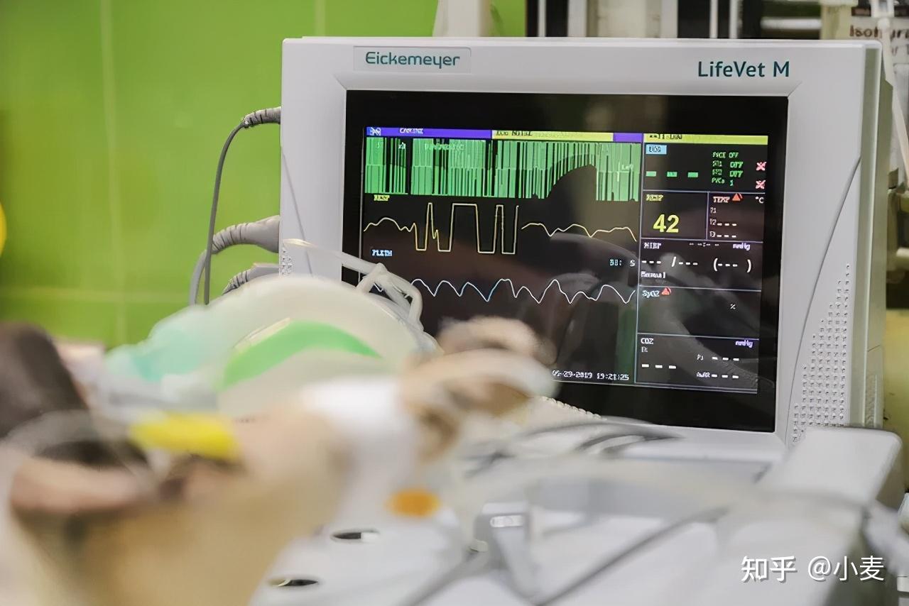 房颤?室颤?二者有何不同?麦迪森健康带您读懂! - 知乎