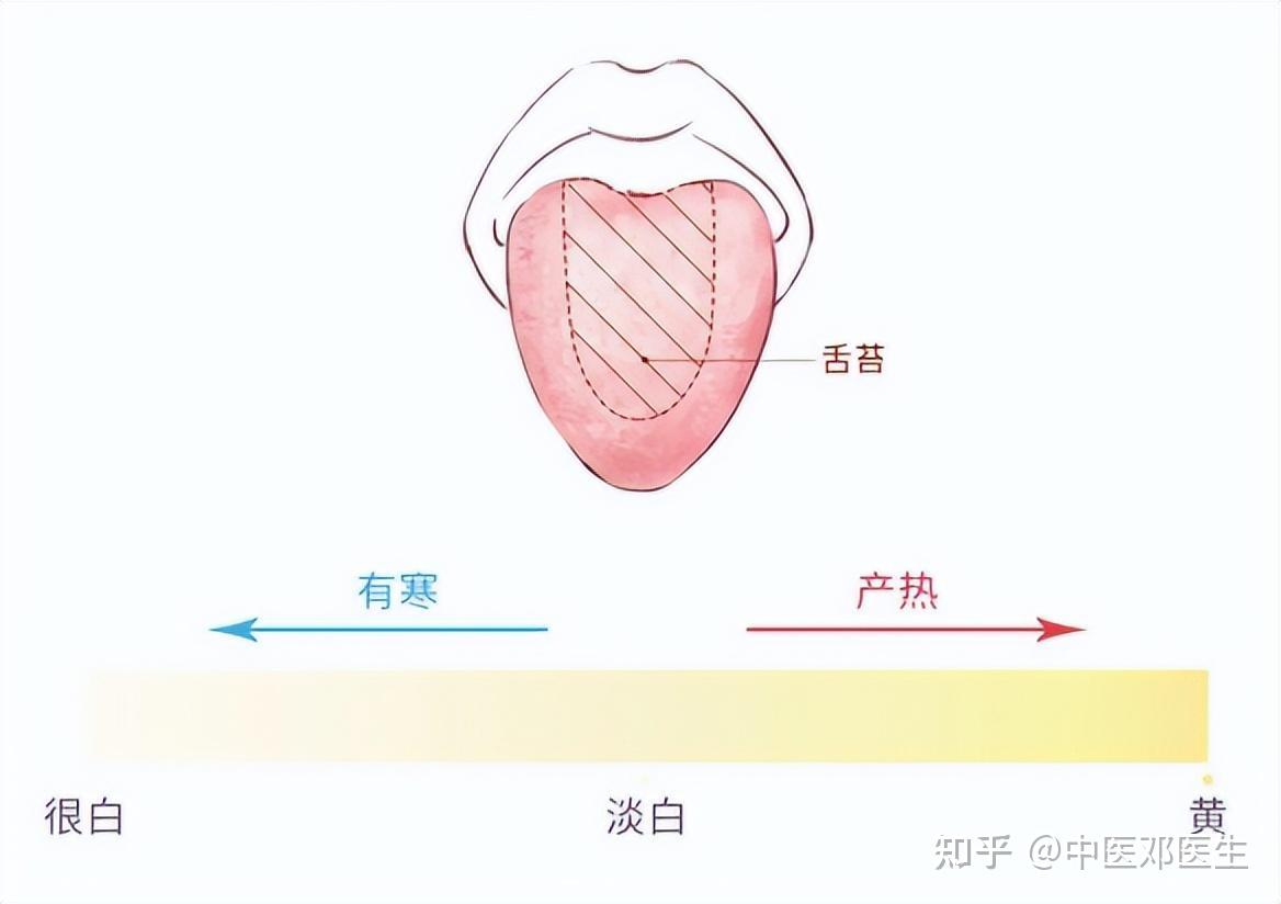 可能體內有外邪在,(外邪有寒,溼,燥,火,暑等)如感冒後,舌苔常常是又厚