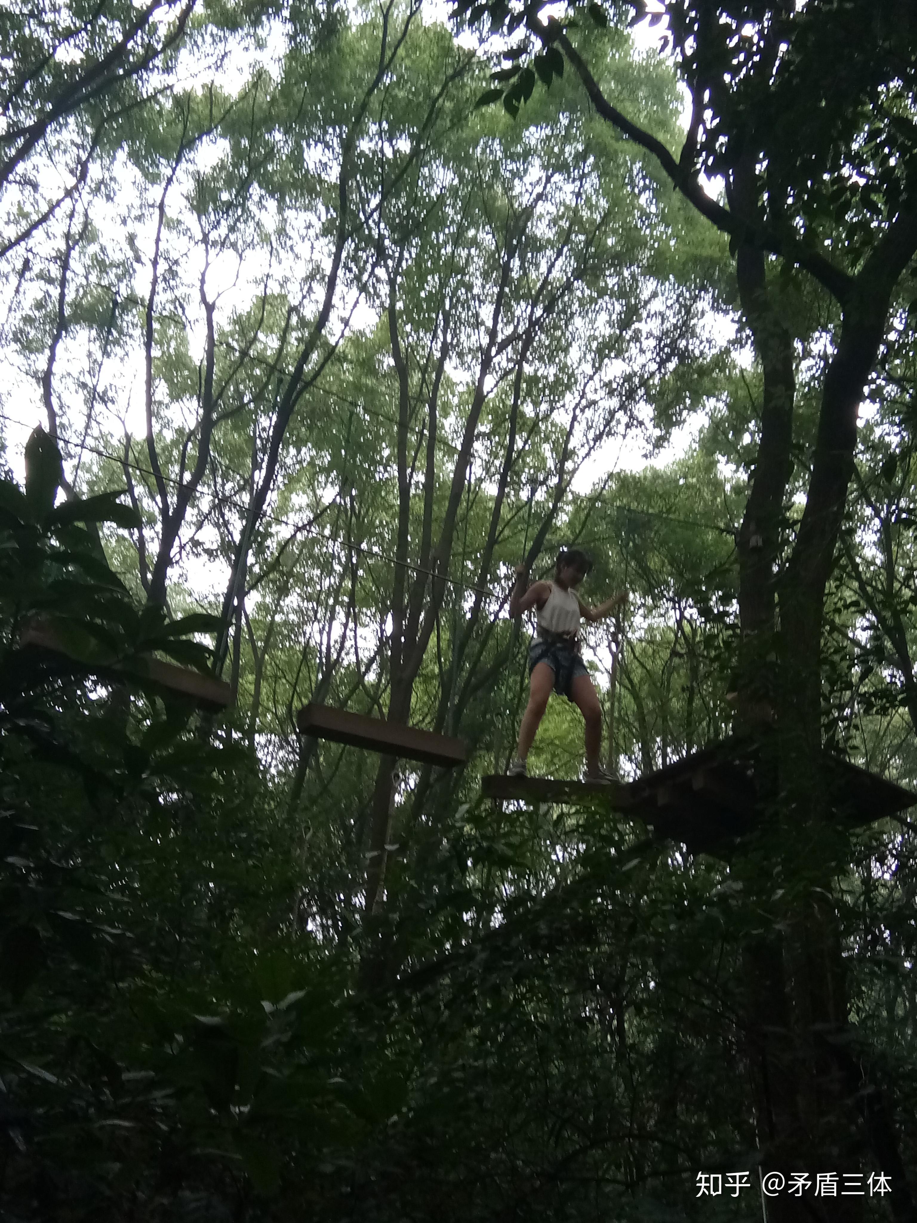 丛林飞跃歌乐山图片