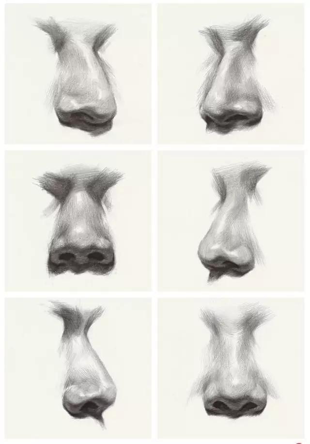 素描头像|五官详解,看完这篇搞定素描头像!