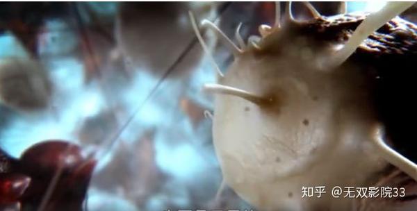 《绝对好奇:细胞战场》bbc纪录片讲述病毒入侵人体全过程,看完忍不住