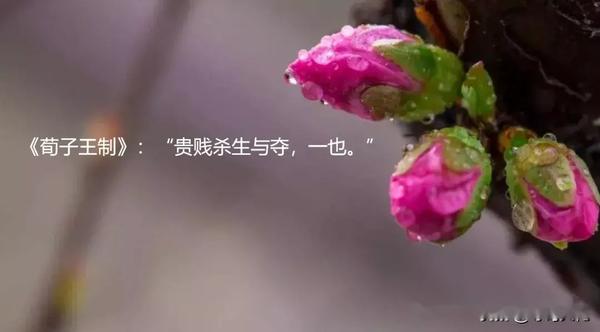 豆瓣