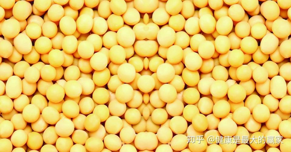 大豆美容的效果原理是什么_大豆是什么豆图片